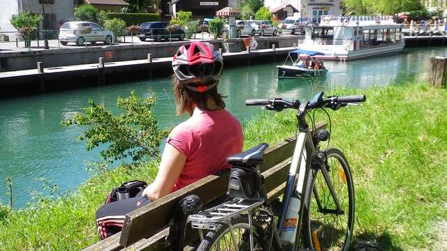 Von Genf nach Lyon - ViaRhôna