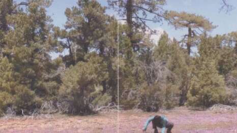 Yu-Hsuan Chiu, le journal du PCT II