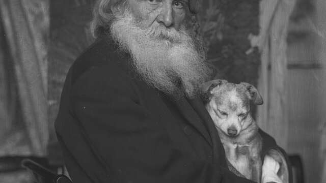 Visite guidée - Bijou, Farfalette et compagnie