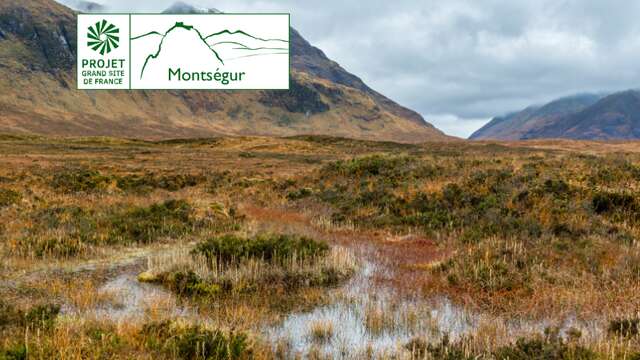 Les tourbières de montagne, archives du climat