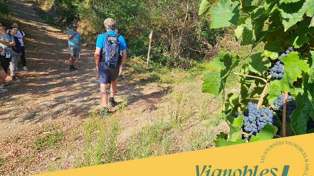 Wine walk at Domaine Grenier