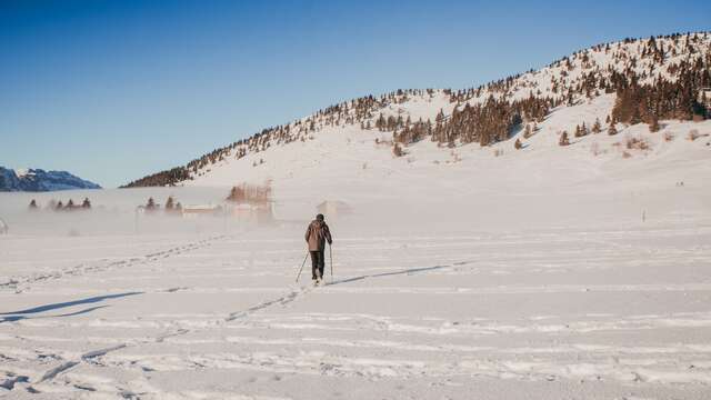 Rando raquettes à la Pointe d'Andey