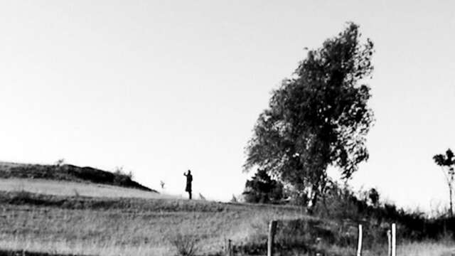 Projection et discussion