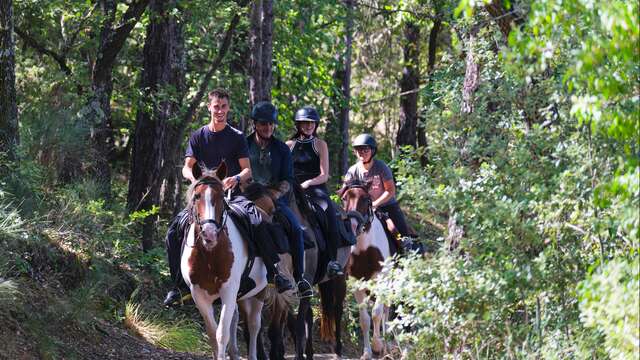 Verdon Equitation
