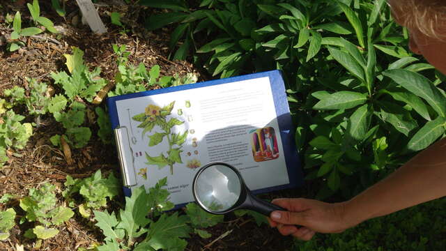 Les mercredis découvertes de Salagon