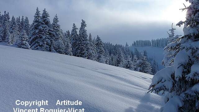 Schneeschuhwanderung »Col du Drayon«