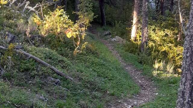 Circuit Enduro N°26 :La Fauchier