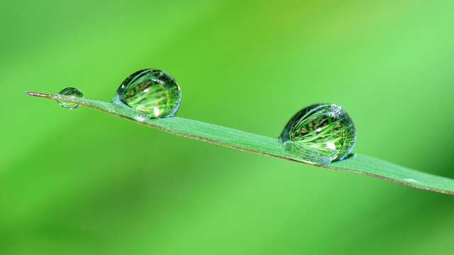 Schauspiel 'Petite Source' (Kleine Quelle)