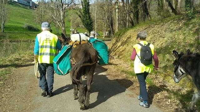 "Balade du patrimoine" commentée avec les ânes de Bon'âne-Venture