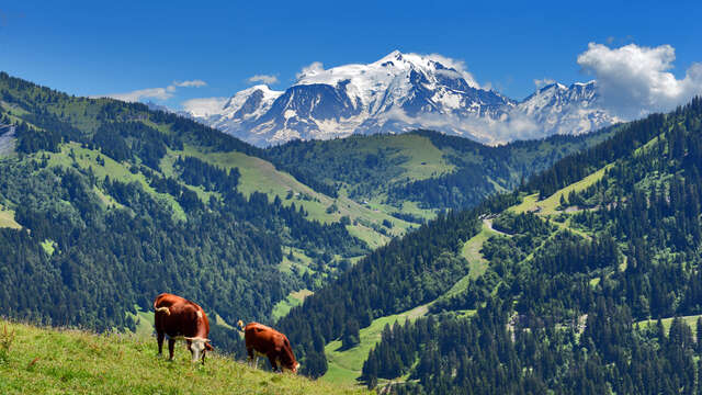 Jause auf der Alm, beim Chalet Blanc