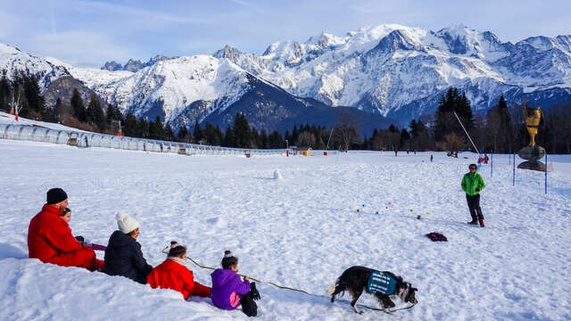 Recherche de victime d'avalanche avec Xavier et son chien Caramel