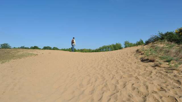 Sand dunes of "Les Charmes"