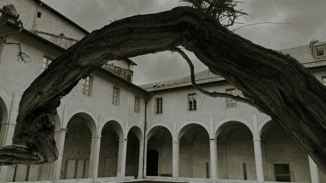 Histoires effrayantes au musée I Halloween