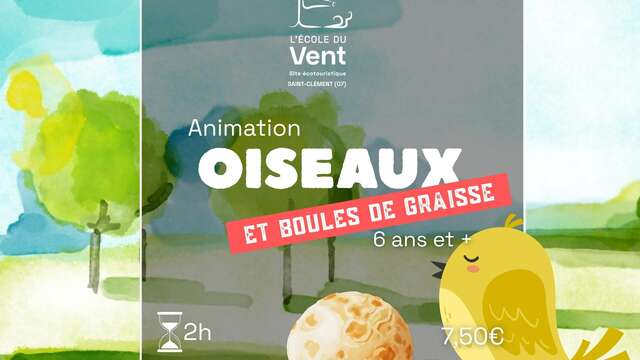 Oiseaux et boules de graisse