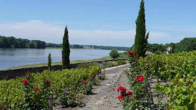 Sainte-Gemmes-sur-Loire, Fleur de Loire