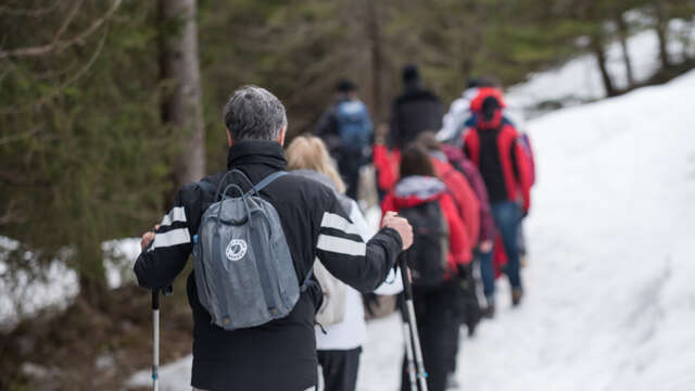 Winter heritage walk