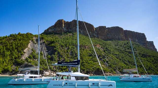 Levantin Catamaran