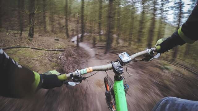 N°61 - Le novice - Espace VTT-FFC Massif des Bois Noirs