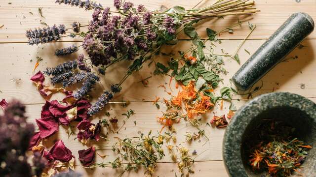 Au labo du château : Pfizherbes