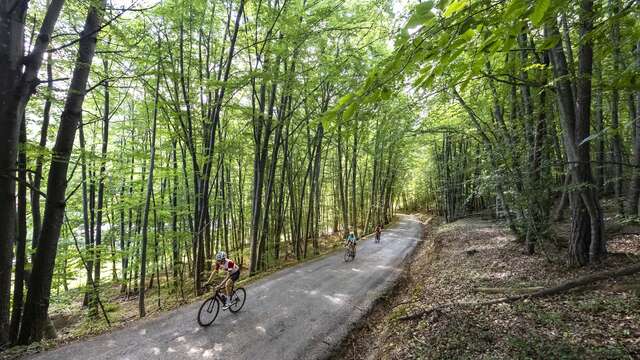 Montée du Col de Fontbelle par Thoard