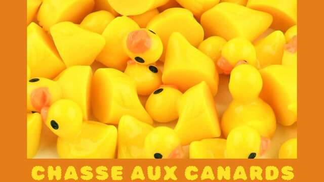 Chasse aux canards à la médiathèque !
