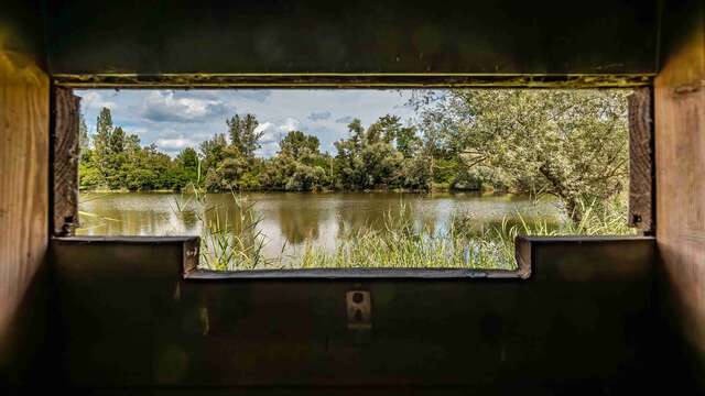 La Gravière aux Oiseaux en soirée