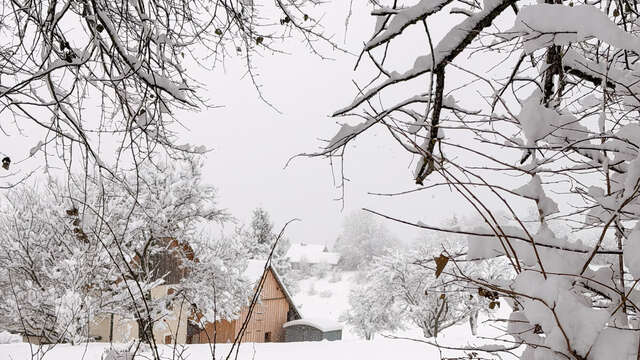 Visite guidée de la station-village de Thollon-les-Mémises