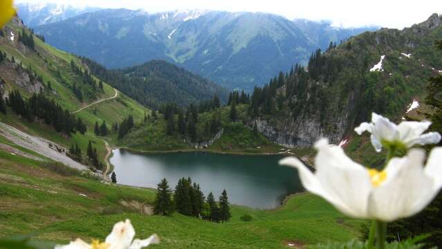 Randonnée pédestre : Col et lac d'Arvouin