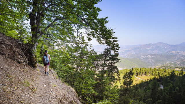 La Barre des Dourbes-Difficile 11km-4h