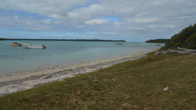 Plage de la baie de Saint Joseph