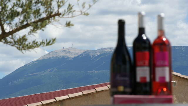 Visite de la cave - Domaine Bernard