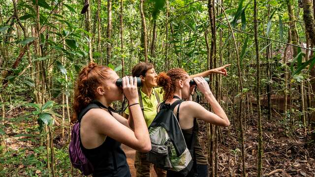 Birdwatching in the Blue Provincial Park - Caledonia Birds