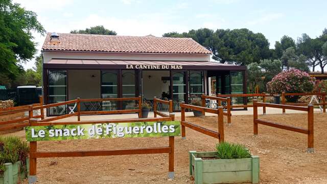 La cantine du Mas