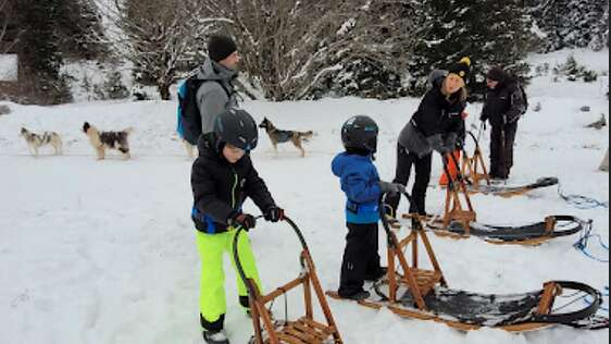 Musher kid, école de chiens de traîneaux