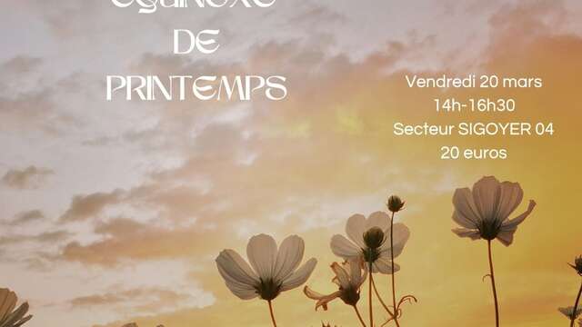 Bain de forêt Equinoxe printemps - Les Ateliers d'Evyoute