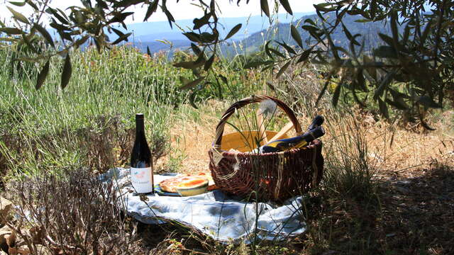 Winegrower's path - Domaine de Saint Amant