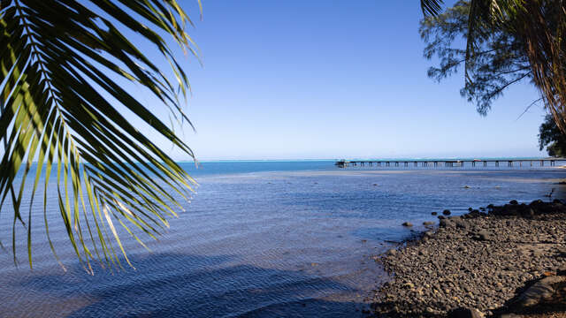 TEKEHANI LODGE MOOREA - Fare Hani