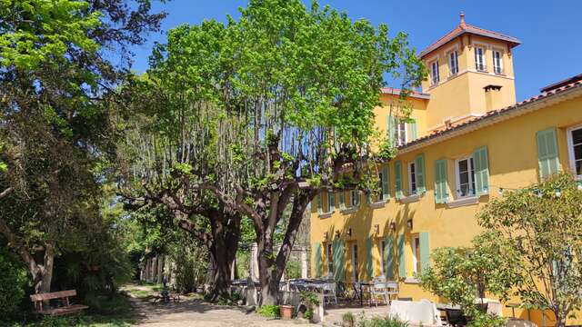 The Flavors of the A.M.E.