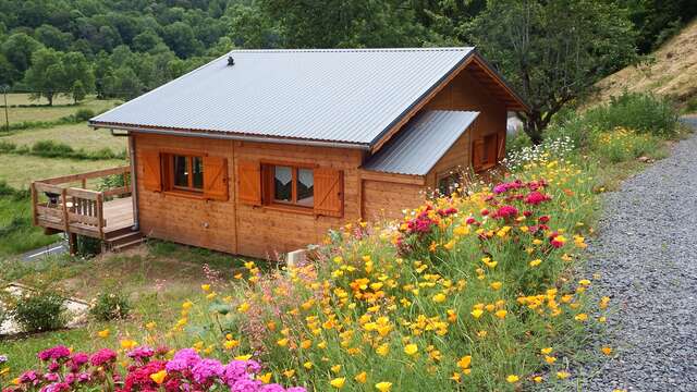 Aux chants des Oiseaux 1***