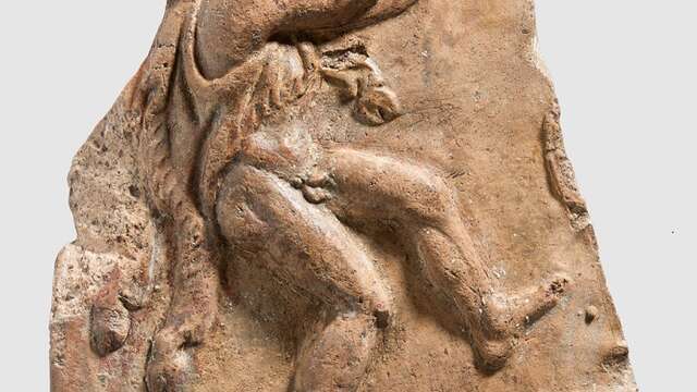 Visite flash de l'exposition temporaire - Satyres, sérieux s'abstenir !