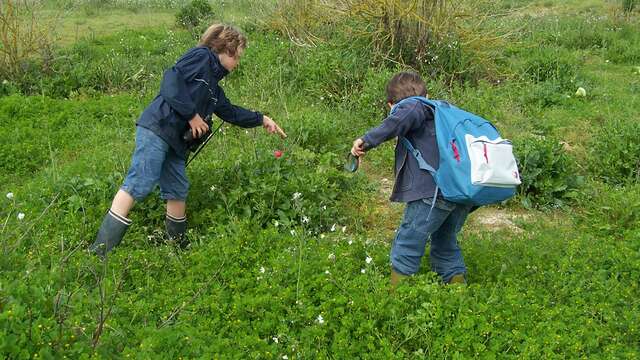 Junior Safari: angehender Detektiv