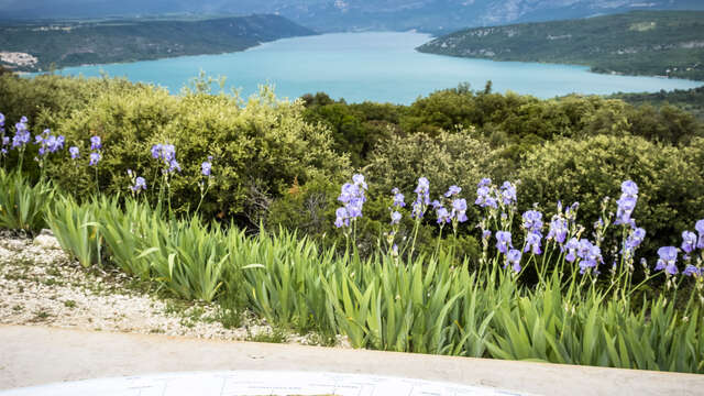 Walking tour of the Sainte-Croix lake: Stage 3 - Baudinard-sur-Verdon - Bauduen