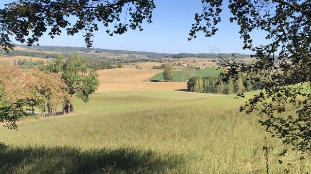 Circuit des oiseaux de Labarthe