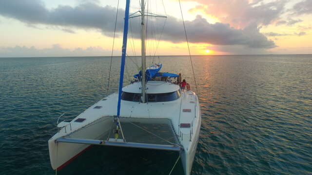 Sortie sunset en catamaran - Dal'Océan