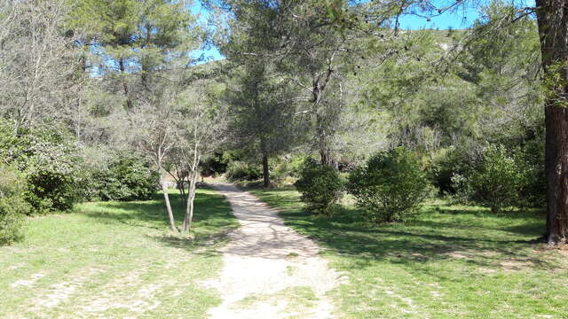 Vos bâtons à la Font de mai