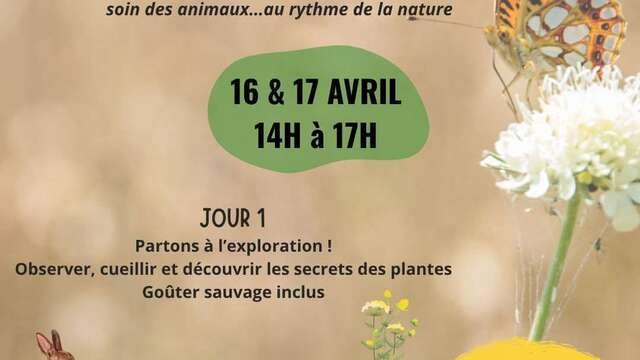 Stage nature enfants