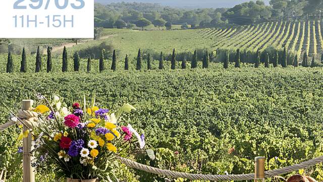 Brunch at Château Maravenne