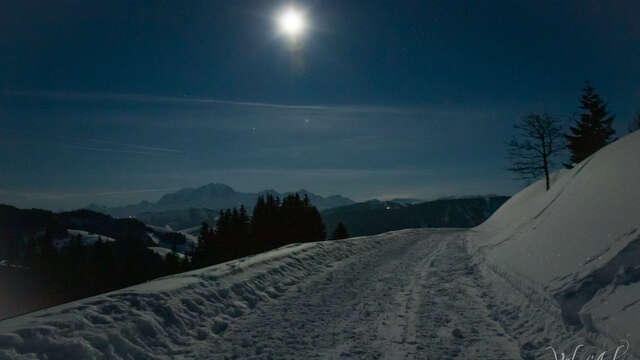 Abendliche Schneeschuhwanderung "im Mondlicht"
