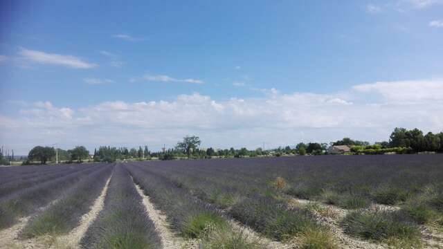 5 - De la Pierre antique d'Orange aux Galets de Châteauneuf-du-Pape
