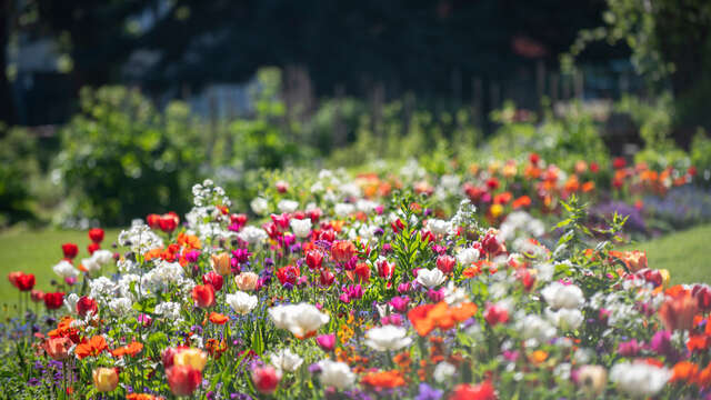 Atelier pratique : Faire son jardin de A à Z,  l'eau au jardin, usages et économie